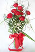Roses Thailand